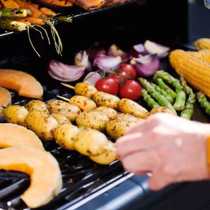 Campingaz Select 4 EXSD DualGas Barbecue a Gas - 2226302